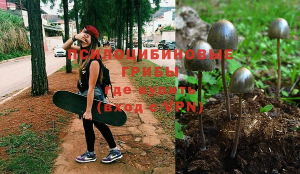 бошки Пролетарск