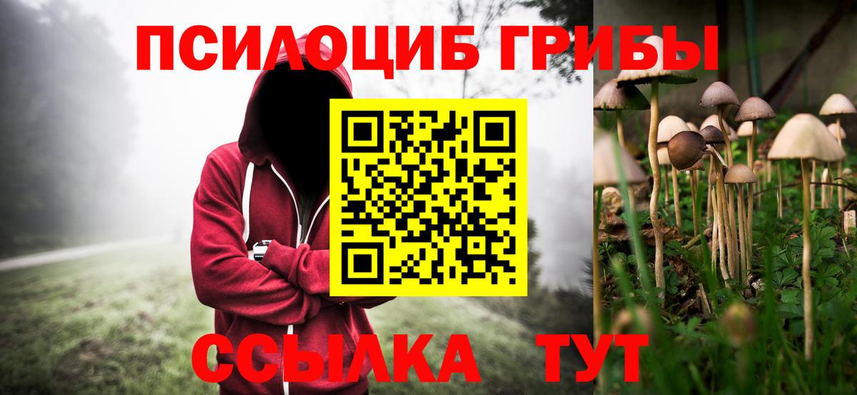 Апатиты  Галлюциногенные грибы мицелий  что такое наркотик  Вход с VPN  Псилоцибиновые грибы MAGIC MUSHROOMS 