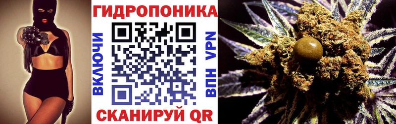 Каннабис марихуана Апатиты